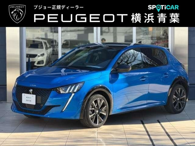 e-208GT