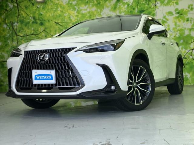 NX350h バージョンL