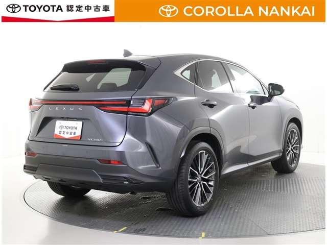 NX