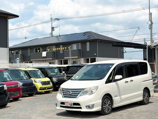�y39.8���X�J�[�Y�̎��q���������������A���ɂ��肪�Ƃ��������܂��B���������S�s���c1186-7TEL:0942-73-6060�܂ł��⍇����������