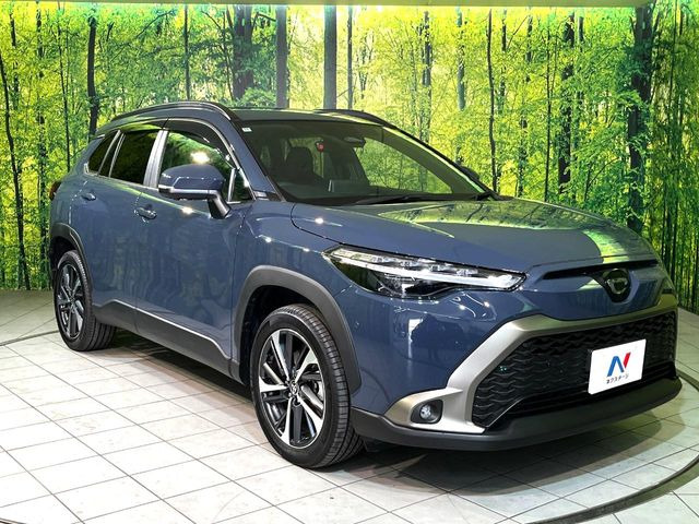 �������x�̃K���X�疌�ŝ����͂������A�㎿�ȃc���E����������B���O����_���J�����؂Ȉ��Ԃ�ی삵�A�F�����E�򉻂�h�~�B�u�e�X�v���b�V���R�[�g�v�A�u�e�v���~�b�T�R�[�g�v���炨�I�т��������܂��B