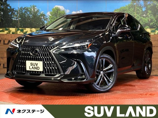 NX250 バージョンL