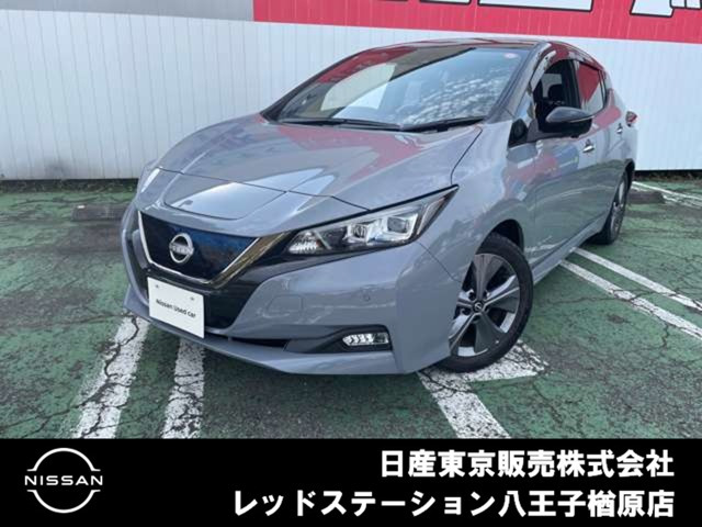 リーフ