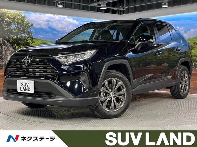 RAV42.0 X
