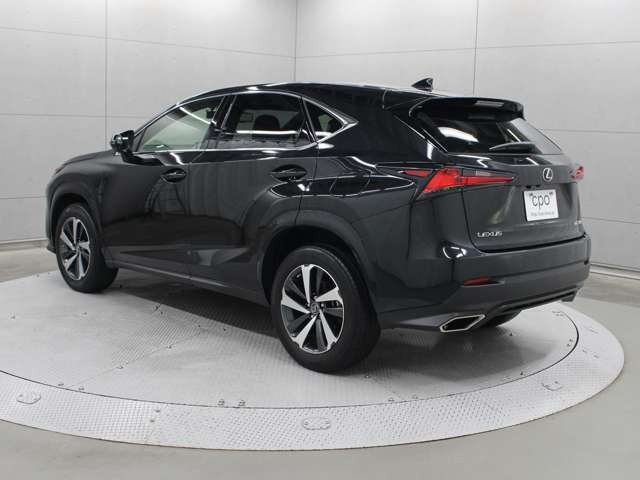 NX300