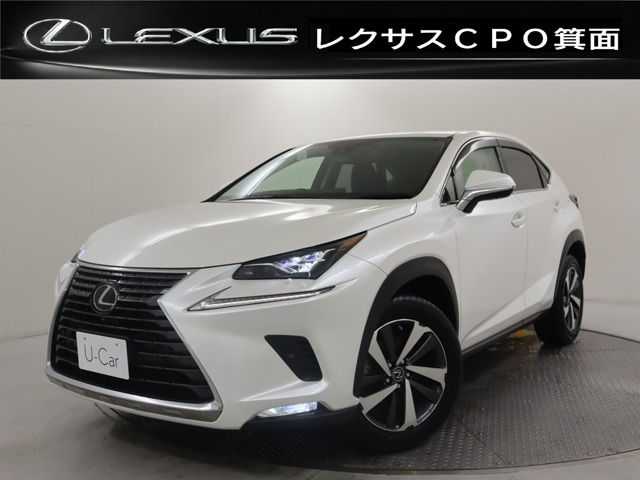 NX300 Iパッケージ