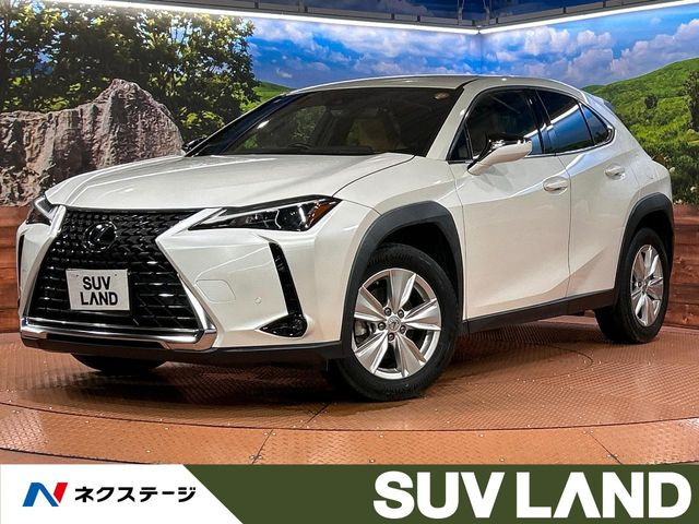 UX250h バージョンC