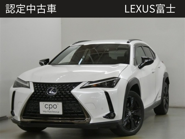 UX250h
