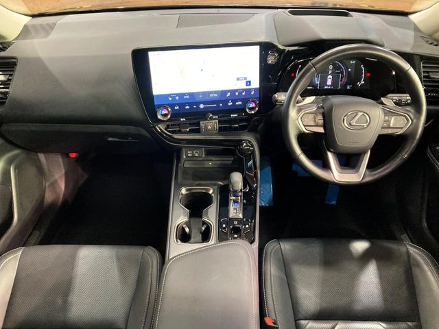 NX250 バージョンL