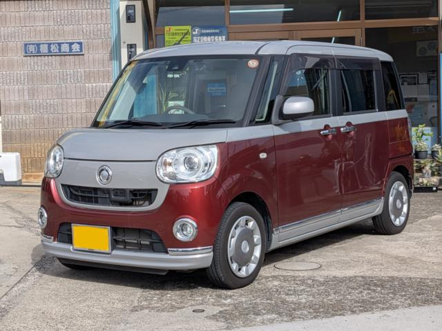 ムーヴキャンバスG メイクアップ SAII