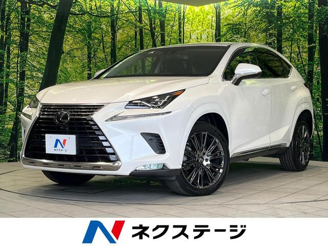 NX200t Iパッケージ