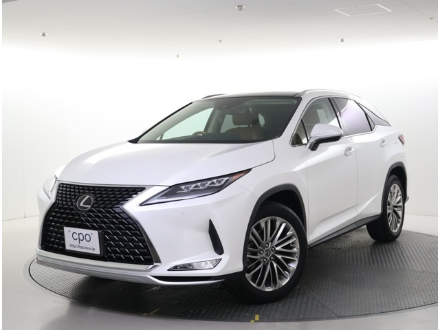 RX300 バージョンL