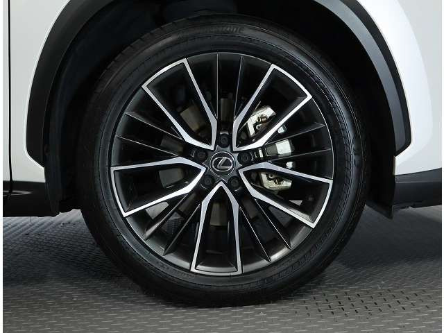 NX250 バージョンL 4WD