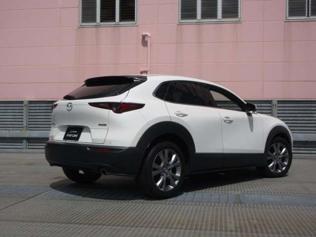 CX-301.8 XD プロアクティブ