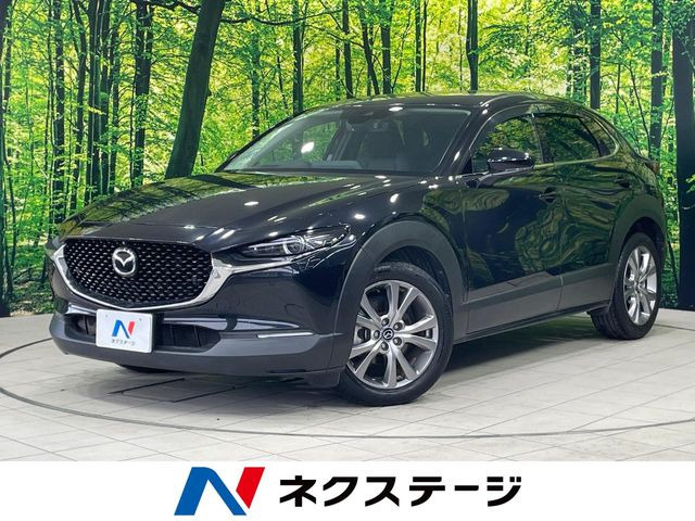 CX-302.0 20S プロアクティブ ツーリングセレクション
