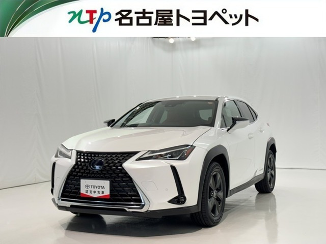 UX250h バージョンC