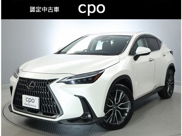 NX250 バージョンL 4WD