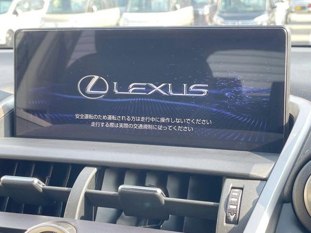 NX300