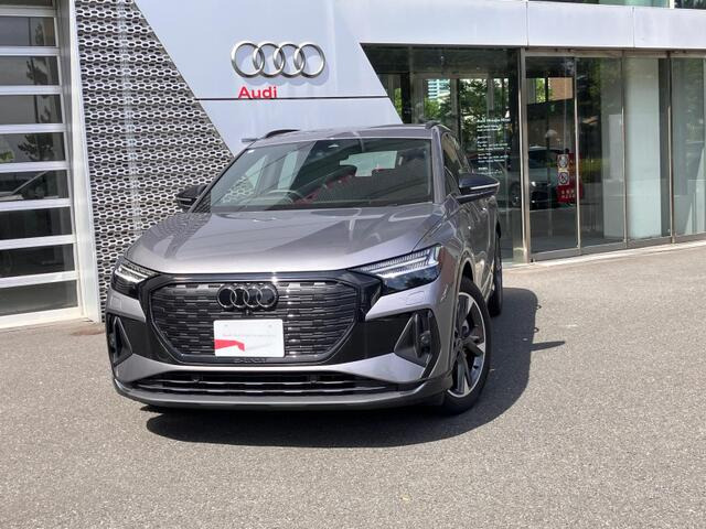 Q4 e-tron45 Sライン