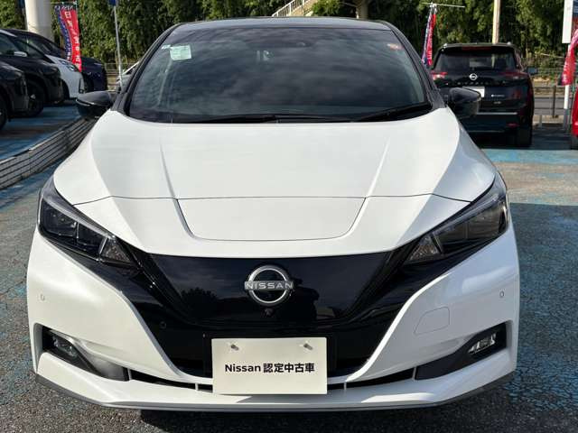 リーフe+ X