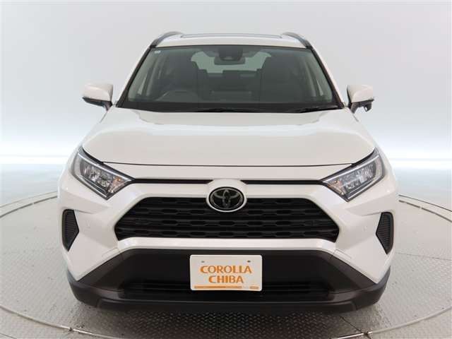 RAV42.0 X