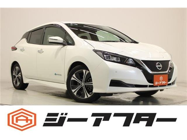 リーフX 10万台記念車
