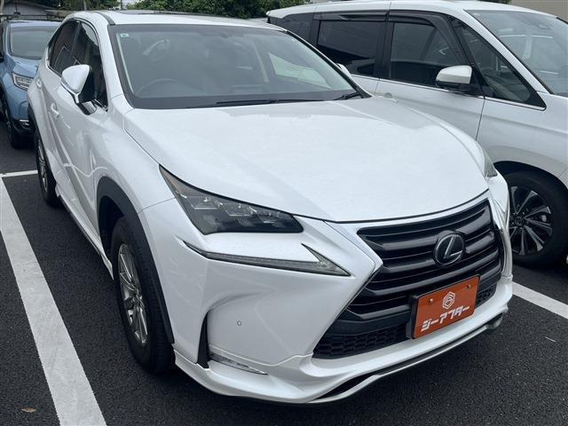 NX300h Iパッケージ