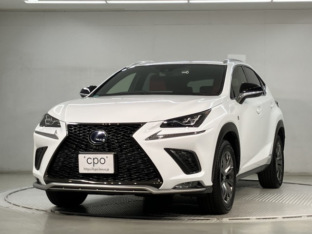NX300h Fスポーツ