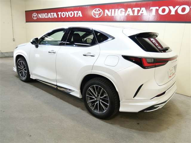 NX450hプラス バージョンL 4WD