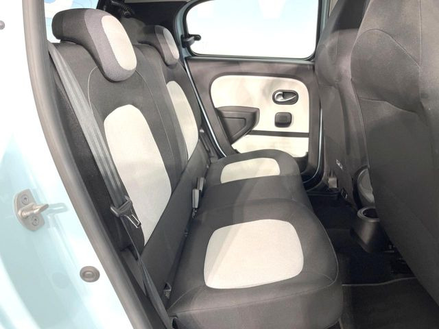 ���㕔���Ȃ��C�ɂȂ�悤�ȃL�Y�E�����ւ��蓙�A�傫�ȃ_���[�W�͂Ȃ��A�ǍD�ȏ�Ԃł��B