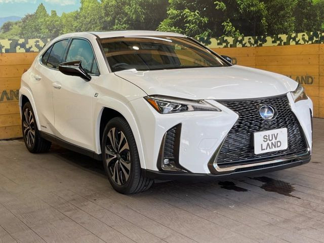 �������x�̃K���X�疌�ŝ����͂������A�㎿�ȃc���E����������B���O����_���J�����؂Ȉ��Ԃ�ی삵�A�F�����E�򉻂�h�~�B�u�e�X�v���b�V���R�[�g�v�A�u�e�v���~�b�T�R�[�g�v���炨�I�т��������܂��B