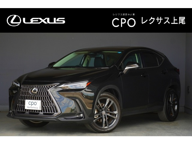 NX250 バージョンL 4WD