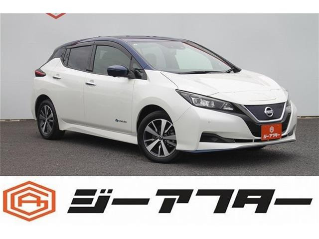 リーフe+ X