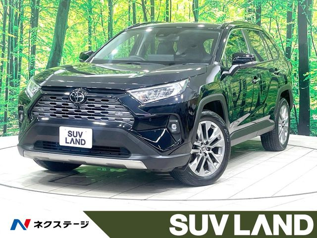 RAV42.0 G Zパッケージ 4WD