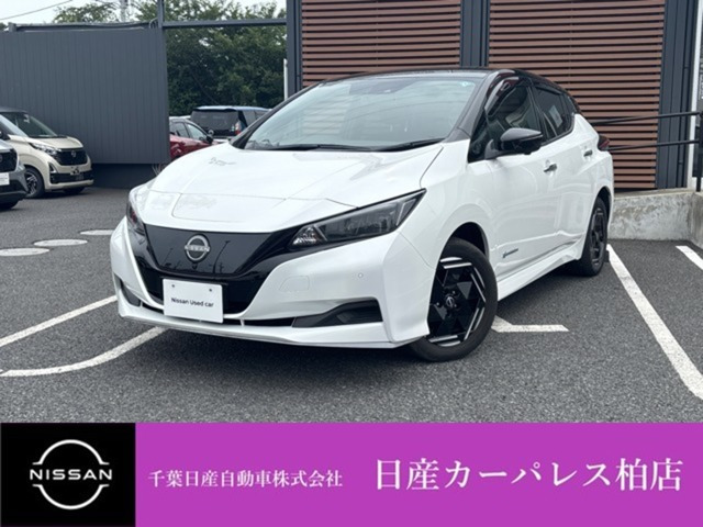 リーフe+ X
