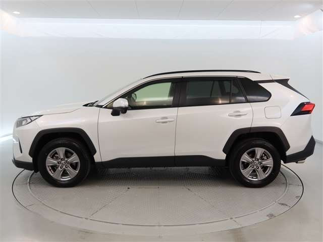 RAV42.0 X