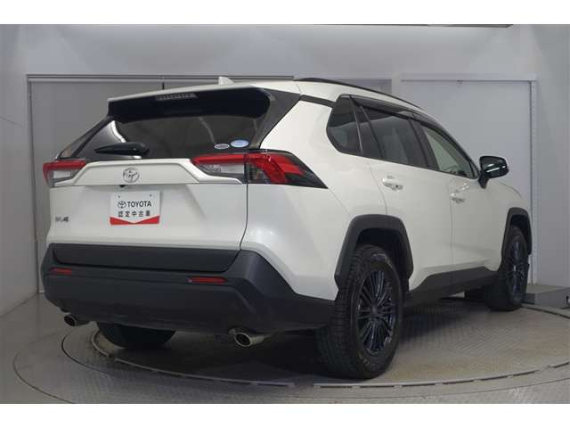 RAV42.0 X