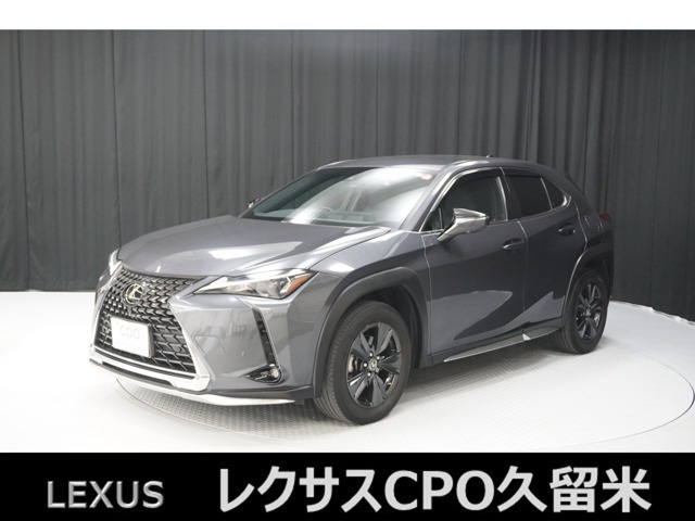 UX250h バージョンC
