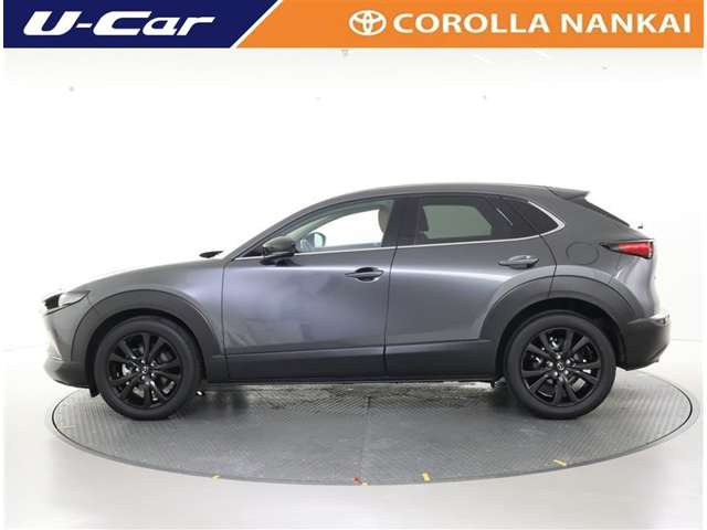 CX-302.0 20S レトロスポーツエディション