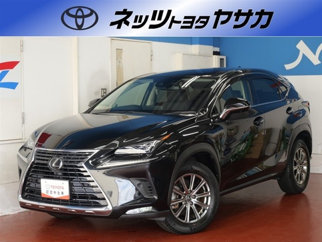 NX300 Iパッケージ