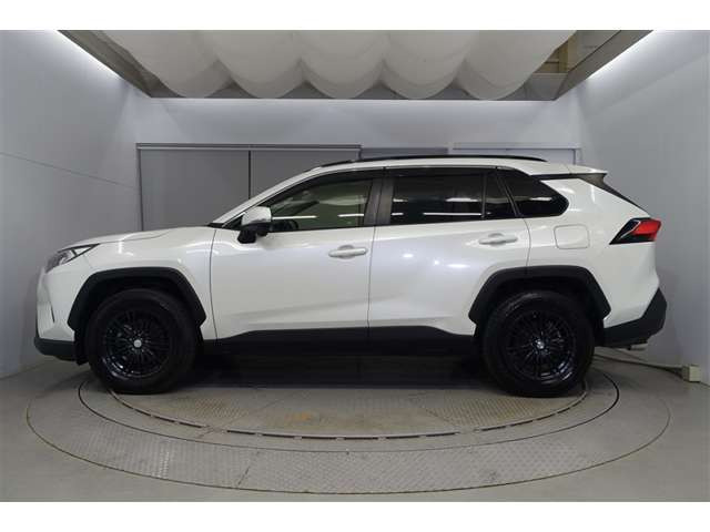 RAV42.0 X