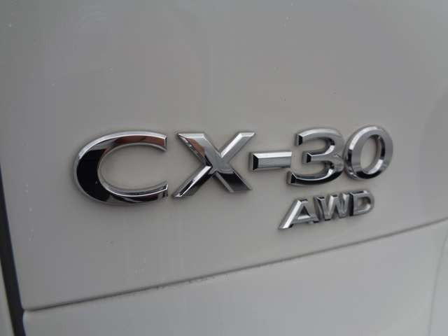 CX-301.8 XD 100周年特別記念車 4WD