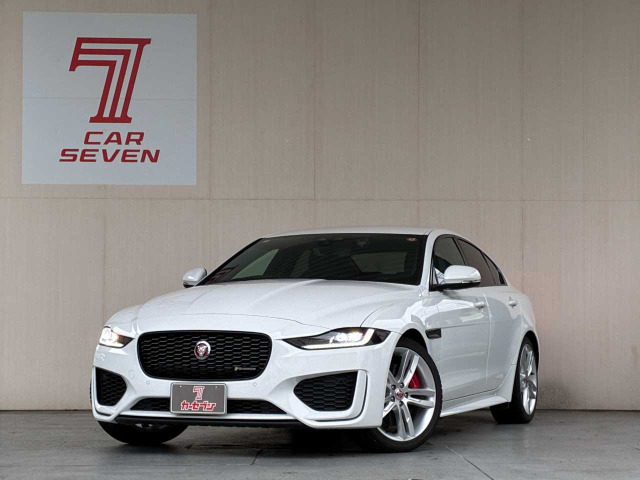 XE(�W���K�[) R-�_�C�i�~�b�N S ���Îԉ摜