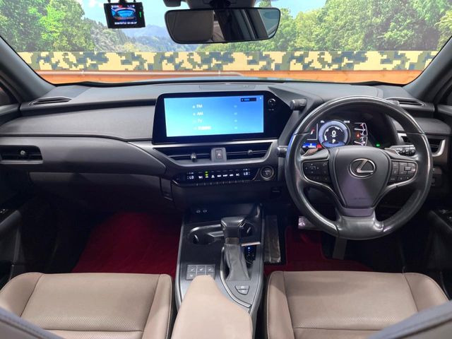 UX250h グレイスフル エクスプローラー