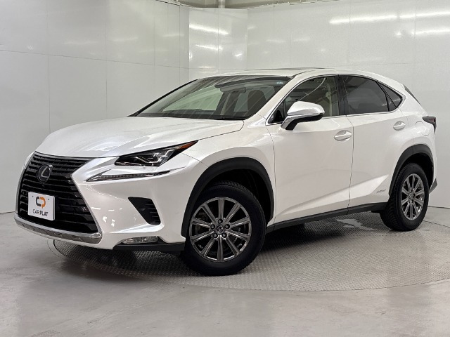 NX300h Iパッケージ