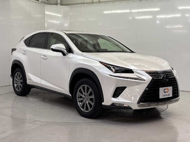 NX300h Iパッケージ