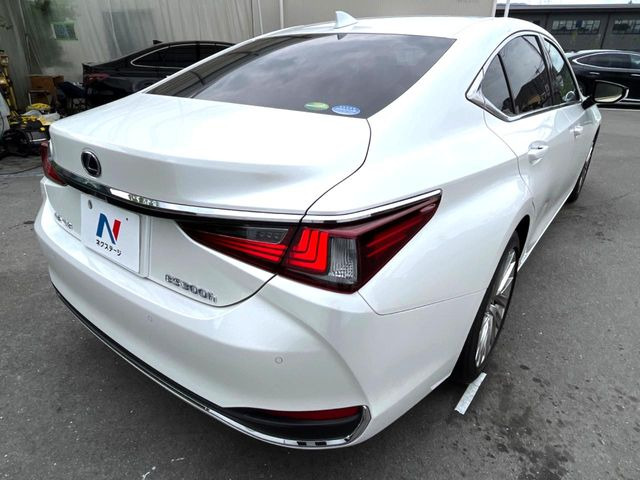 ���S���̃l�N�X�e�[�W���炨���񂹂��\��!�����̓X�܂ɓW�����Ă���N���}���C�ɂȂ�ꍇ���A�Ŋ��̓X�܂ł��������������Ƃ��\�ł�!���񎄂����ɗv�]������������������!���ʓr��p