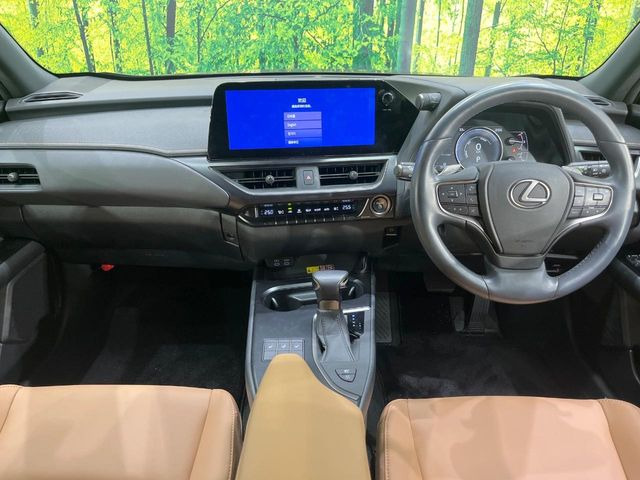 UX250h バージョンC