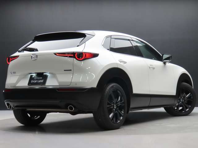 CX-30