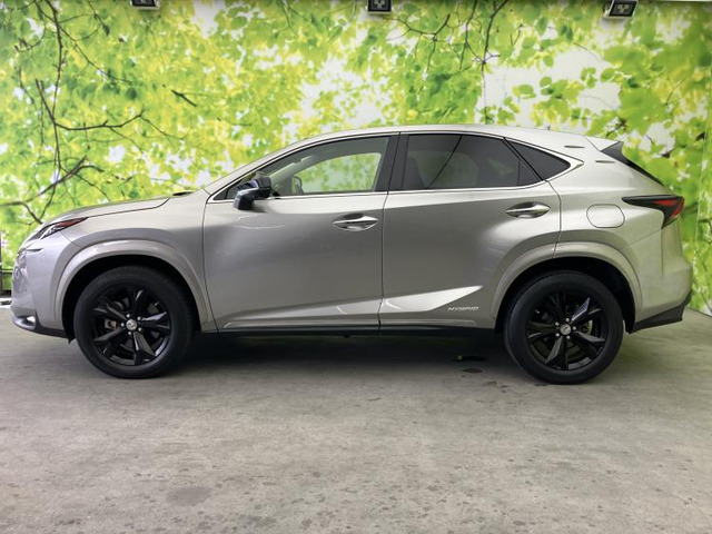 NX300h アーバンスタイル